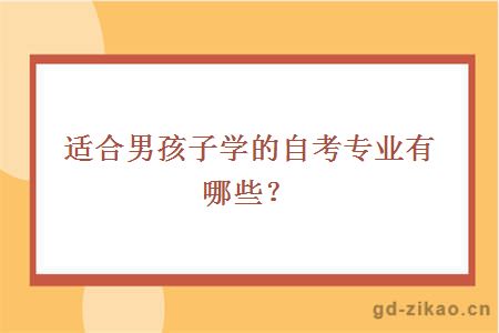 适合男孩子学的自考专业有哪些？