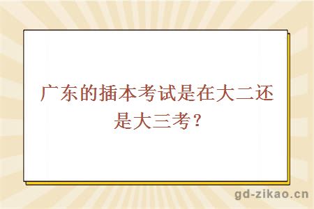 广东的插本考试是在大二还是大三考？