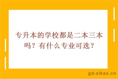 专升本的学校都是二本三本吗？有什么专业可选？