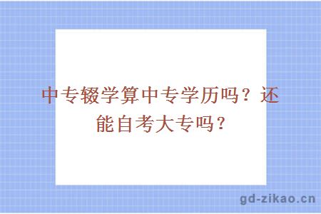 中专辍学算中专学历吗？还能自考大专吗？