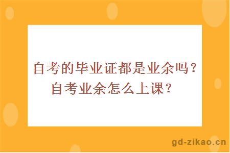 自考的毕业证都是业余吗？自考业余怎么上课？