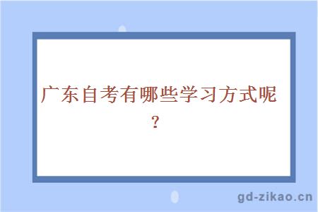 广东自考有哪些学习方式呢？