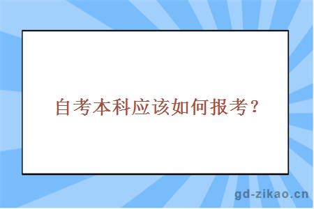 自考本科应该如何报考？