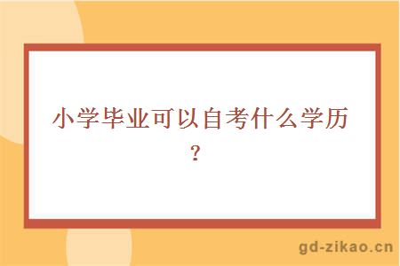 小学毕业可以自考什么学历？