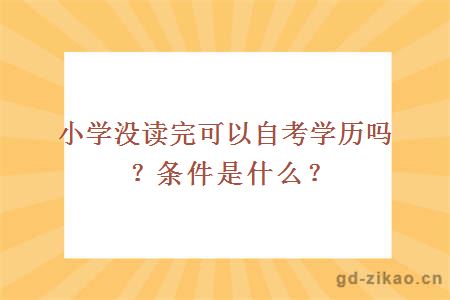 小学没读完可以自考学历吗？条件是什么？