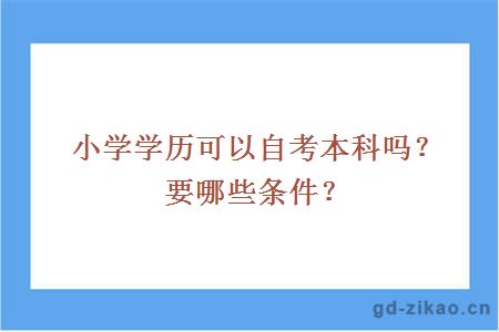 小学学历可以自考本科吗？要哪些条件？