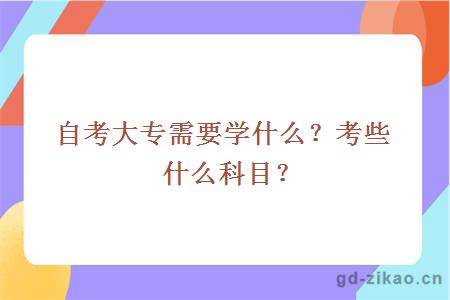 自考大专需要学什么？考些什么科目？